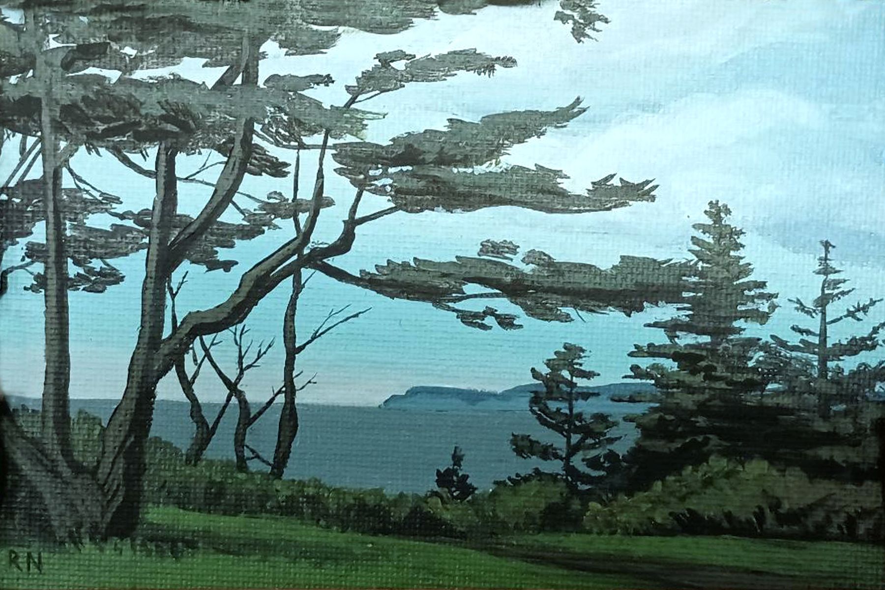 Fort Casey State Park