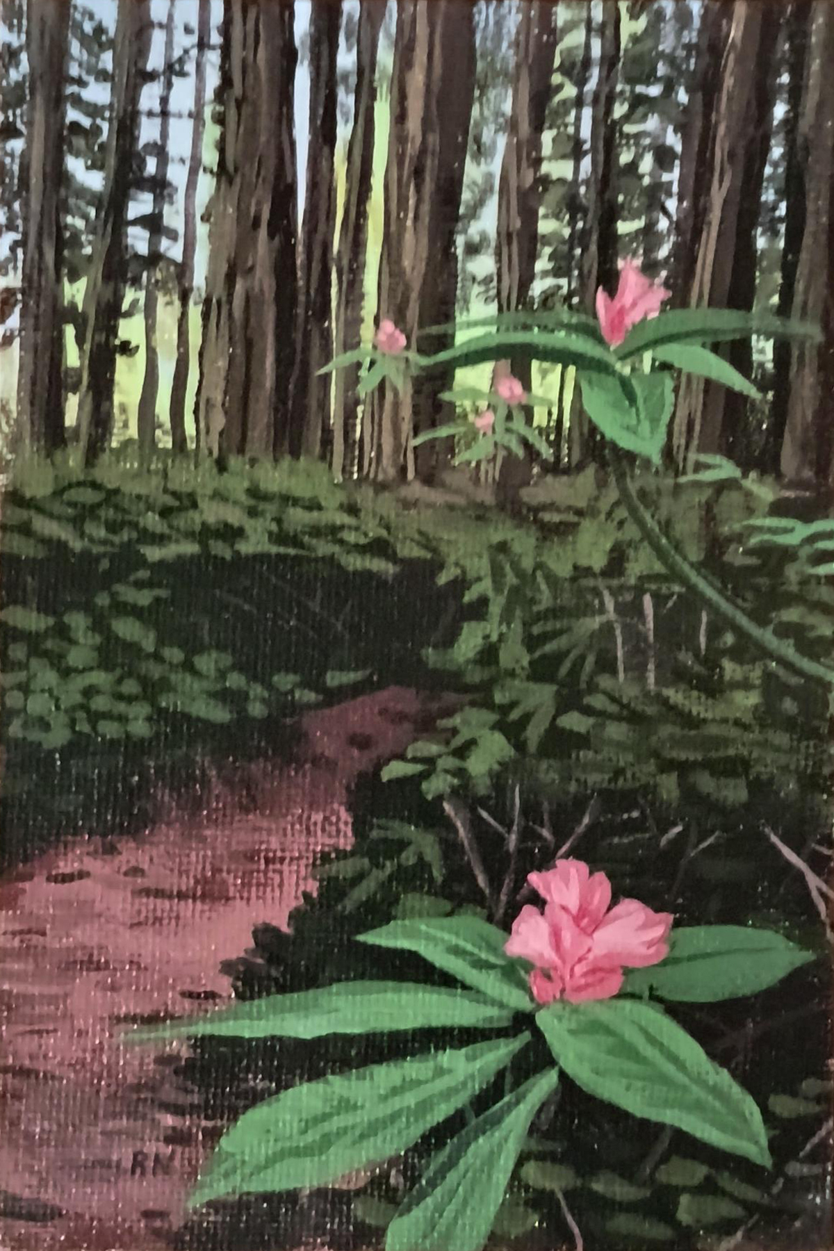 Rhododendron Park